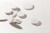 CELLTWEET_1.jpg